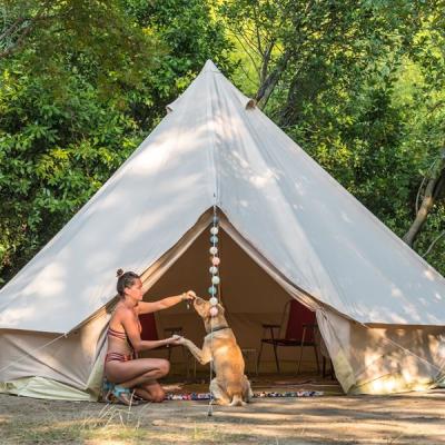 Pet friendly kamp