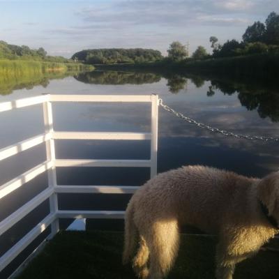 Pet friendly kamp