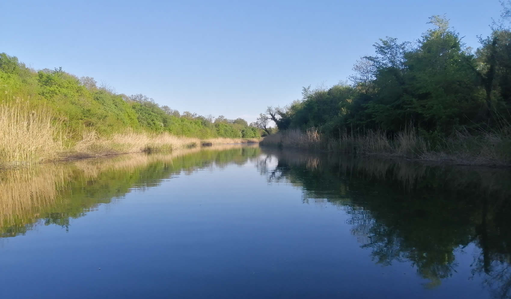 Veliki bački kanal Veliki bački kanal